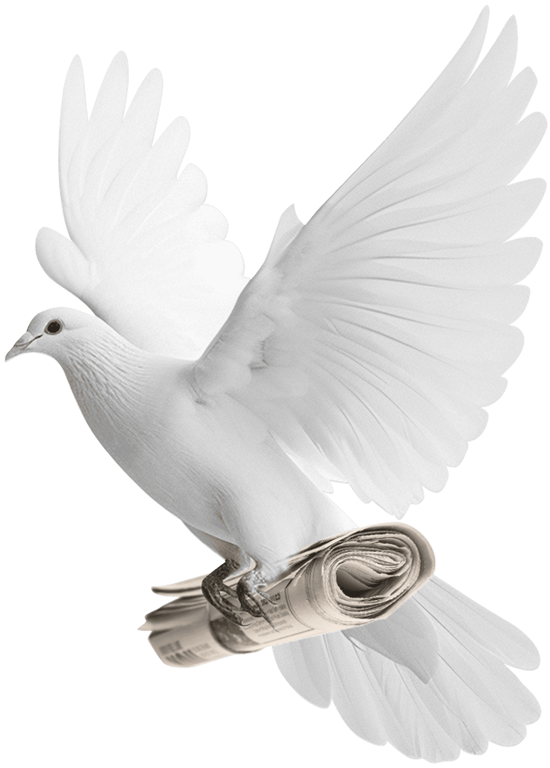 Vision Bird